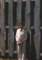 tonybonadies10_small.jpg